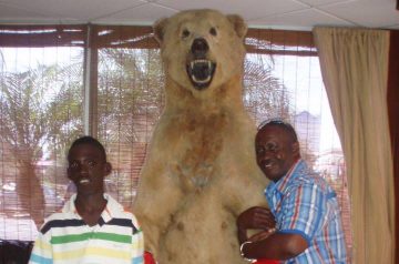 I Wish To Go To Disney World - Ade Goddard