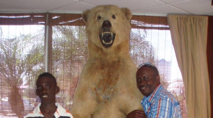 I Wish To Go To Disney World - Ade Goddard