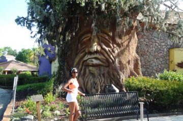 I Wish To Go To Disney World - Jaleah Hoyte