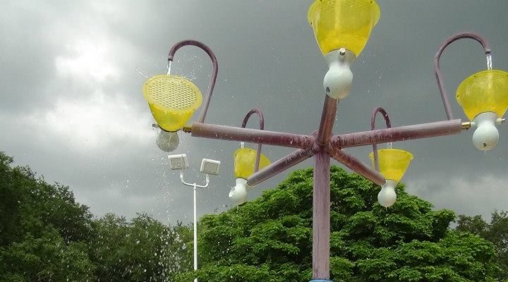 I Wish To Go To Disney World - Jaleah Hoyte