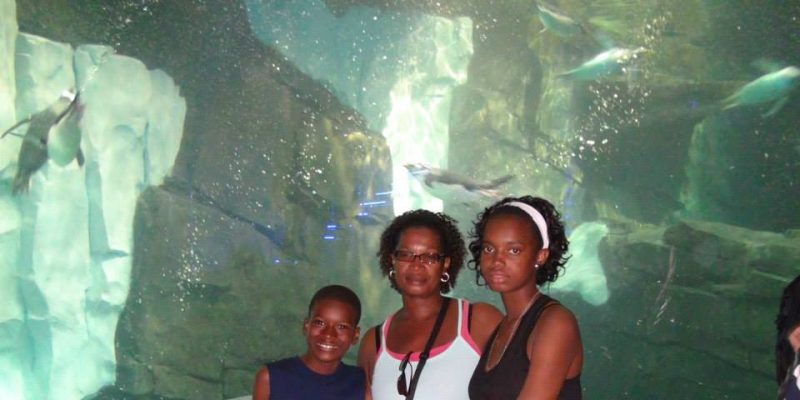 I Wish To Go To Disney World - Jaleah Hoyte