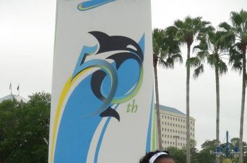 I Wish To Go To Disney World - Jaleah Hoyte