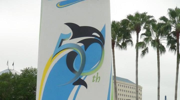 I Wish To Go To Disney World - Jaleah Hoyte