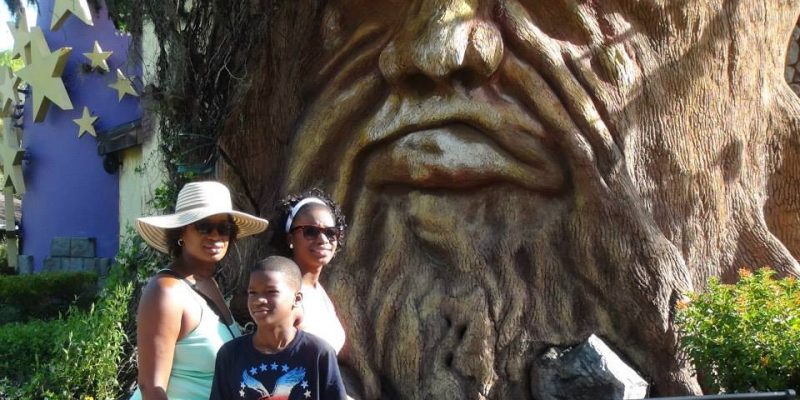 I Wish To Go To Disney World - Jaleah Hoyte