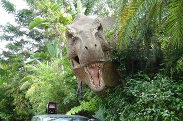 I Wish To Go To Disney World - Jaleah Hoyte