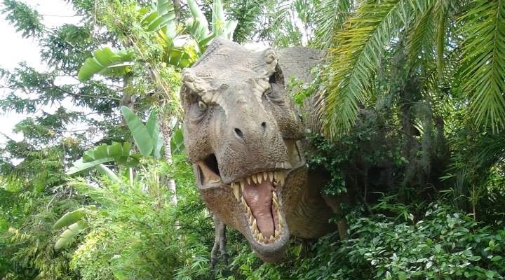 I Wish To Go To Disney World - Jaleah Hoyte