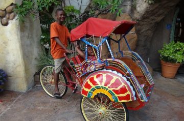 I Wish To Go To Disney World - Jaleah Hoyte