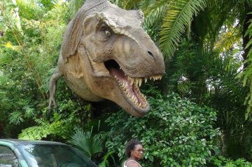 I Wish To Go To Disney World - Jaleah Hoyte