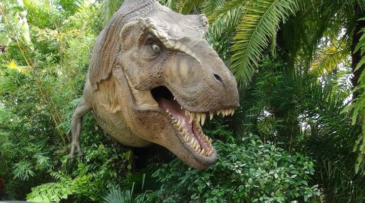 I Wish To Go To Disney World - Jaleah Hoyte