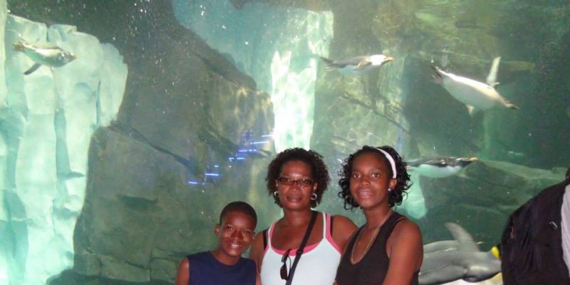 I Wish To Go To Disney World - Jaleah Hoyte