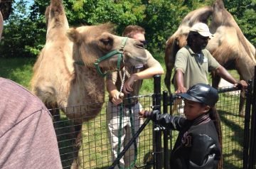 I Wish To Go To Canada - Judah Sobers