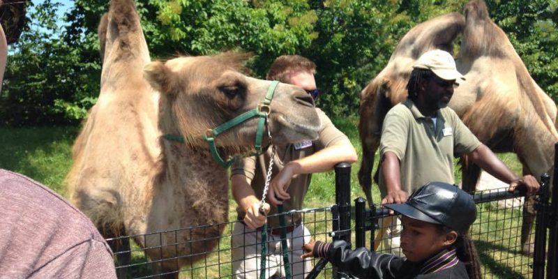 I Wish To Go To Canada - Judah Sobers