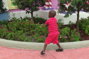 I Wish To Go To Disney World - Ajani Grazette