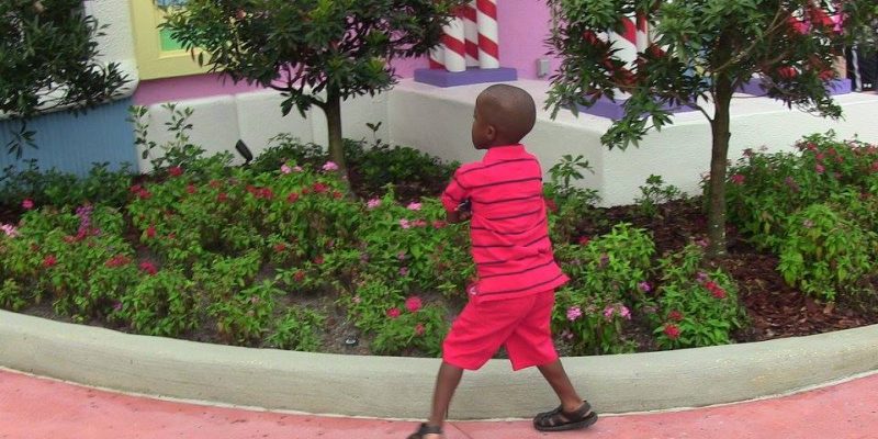 I Wish To Go To Disney World - Ajani Grazette