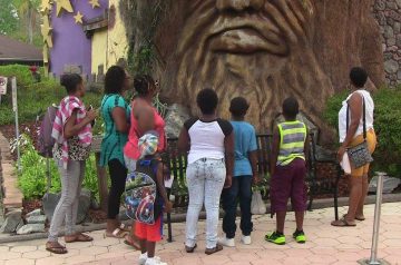 I Wish To Go To Disney World - Ajani Grazette