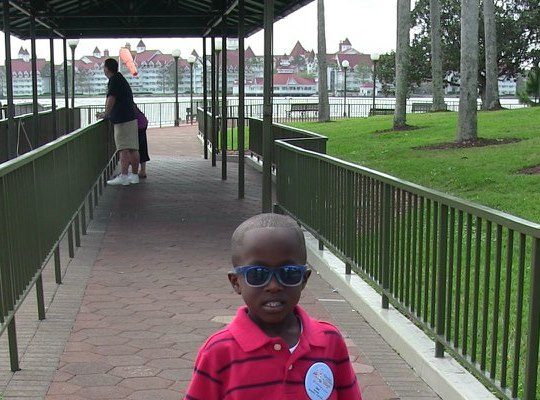 I Wish To Go To Disney World - Ajani Grazette