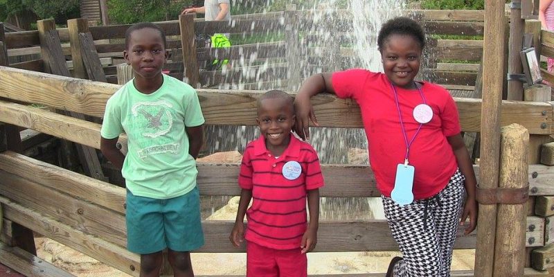 I Wish To Go To Disney World - Ajani Grazette