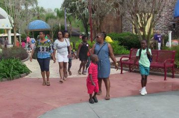 I Wish To Go To Disney World - Ajani Grazette