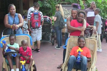 I Wish To Go To Disney World - Ajani Grazette