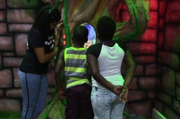 I Wish To Go To Disney World - Jalea Walrond