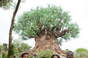 I Wish To Go To Disney World - Jalea Walrond