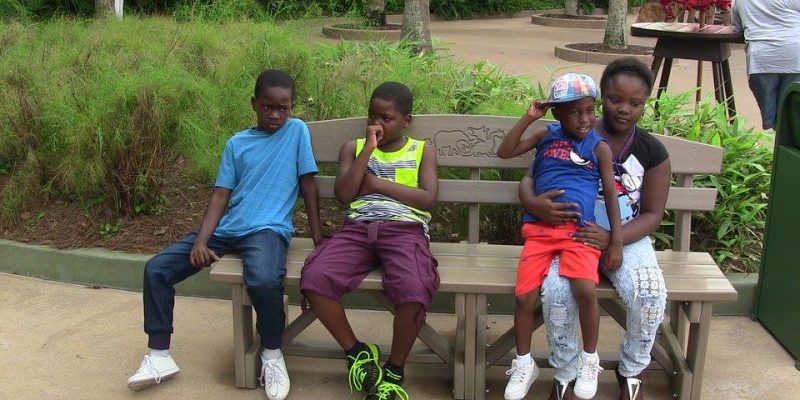 I Wish To Go To Disney World - Jalea Walrond