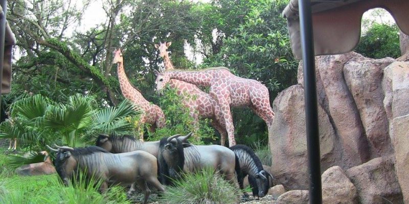 I Wish To Go To Disney World - Jalea Walrond