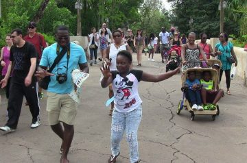 I Wish To Go To Disney World - Jalea Walrond