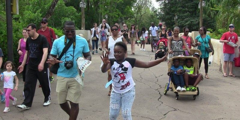 I Wish To Go To Disney World - Jalea Walrond