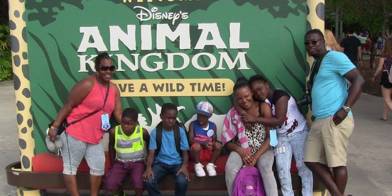 I Wish To Go To Disney World - Jalea Walrond
