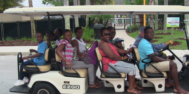 I Wish To Go To Disney World - Jalea Walrond