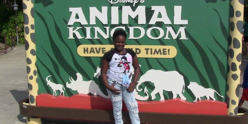 I Wish To Go To Disney World - Jalea Walrond