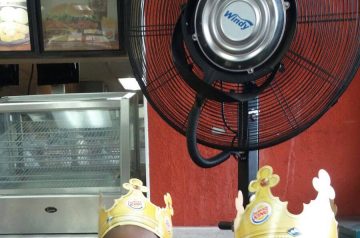 I Wish To Go To Jamaica