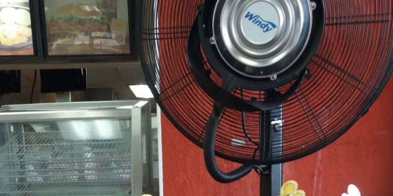 I Wish To Go To Jamaica