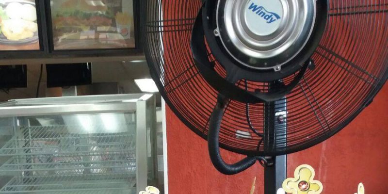 I Wish To Go To Jamaica