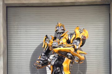 I Wish to Go to Disney World