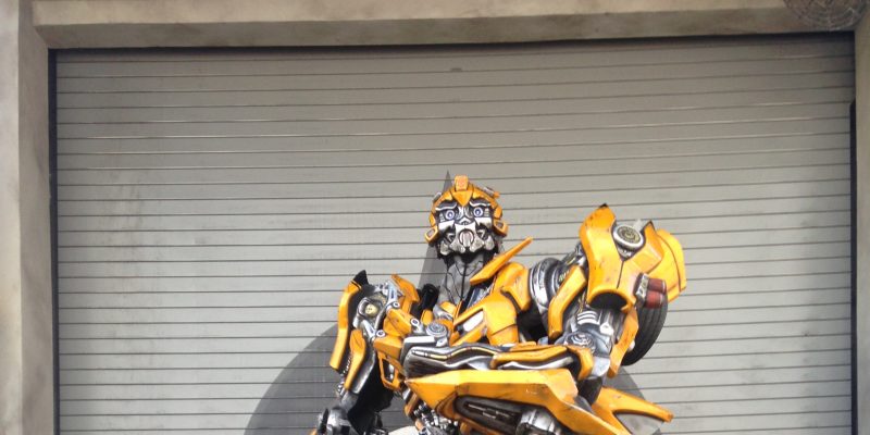 I Wish to Go to Disney World