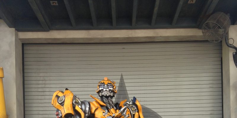 I Wish to Go to Disney World