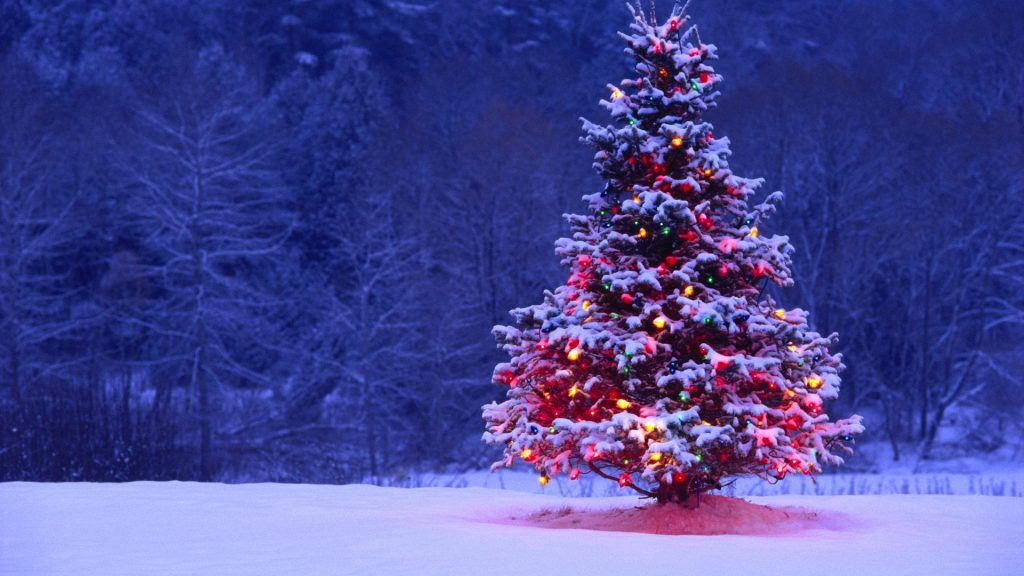 Christmas Tree Promotion